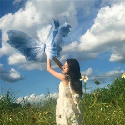 大明星醒目狗